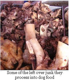 picture of Junk Meat